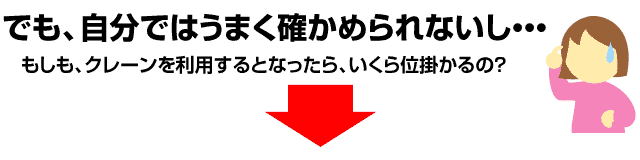 自分ではうまく確かめられないし