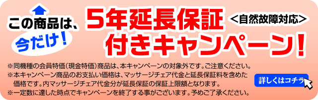 今だけ5年延長保証付き